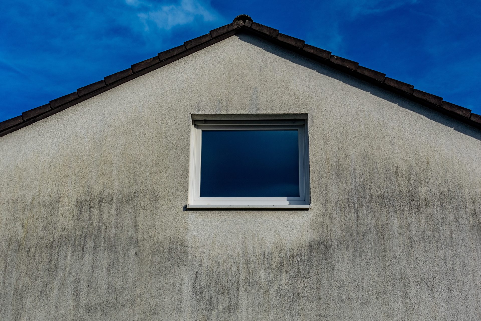 alge na fasadi hiše